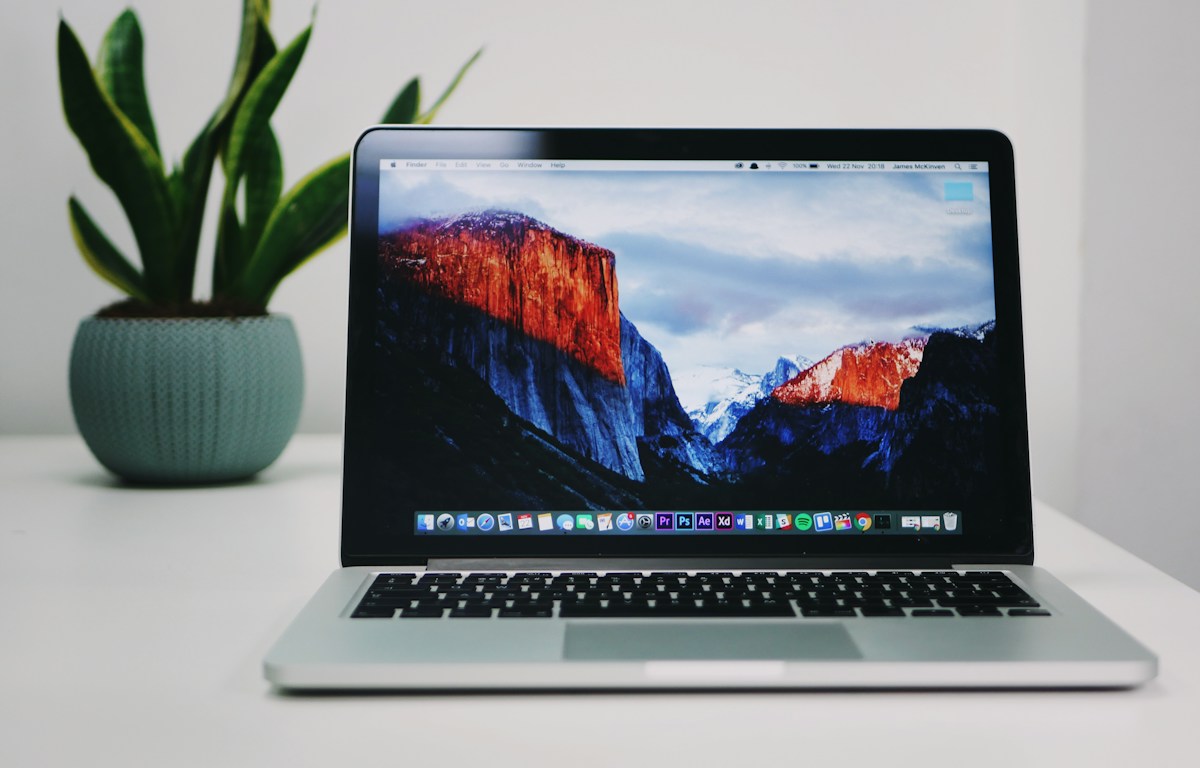 Laptop beside a houseplant in a home setting