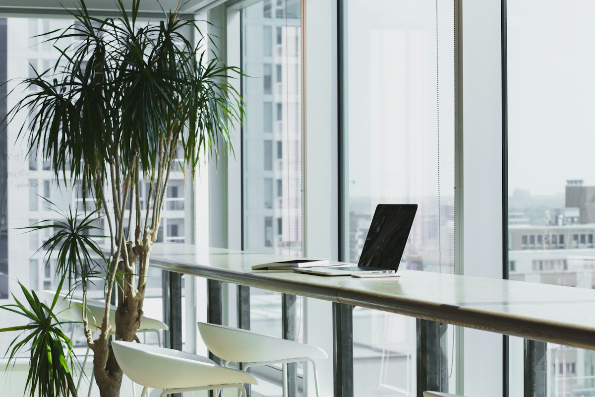 Bright workspace with a long desk and indoor plants